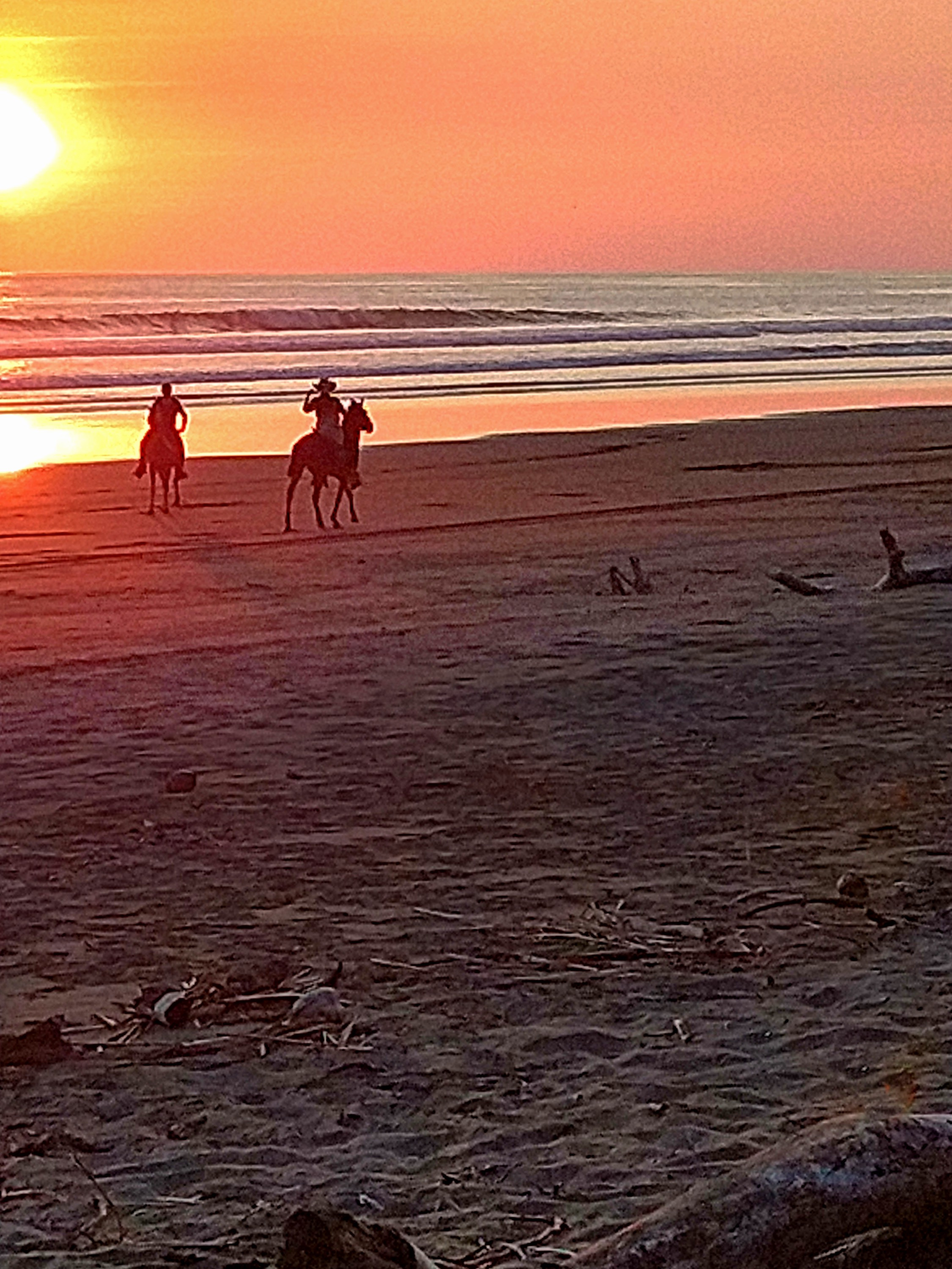 Horseriding on the Beach